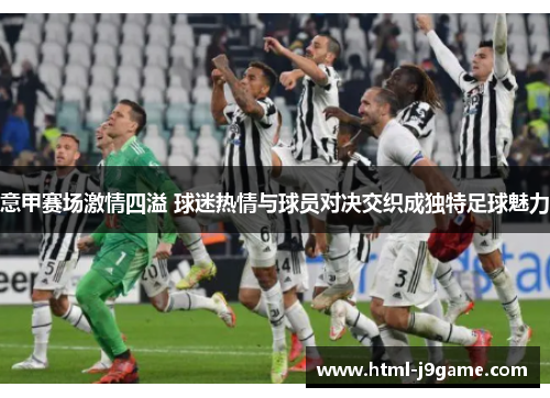 意甲赛场激情四溢 球迷热情与球员对决交织成独特足球魅力