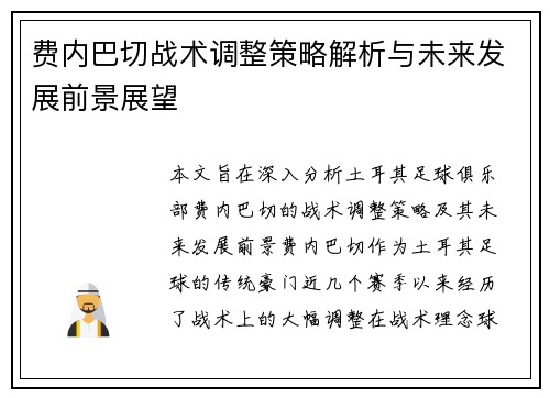 费内巴切战术调整策略解析与未来发展前景展望