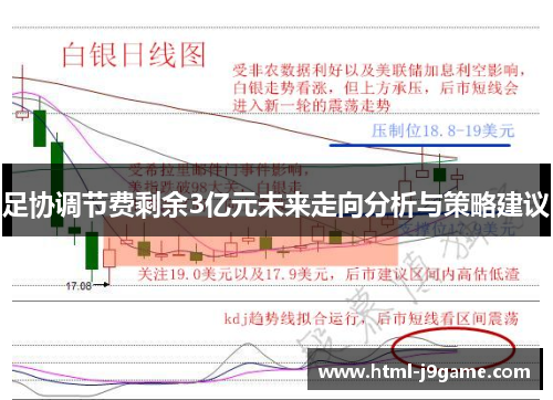 足协调节费剩余3亿元未来走向分析与策略建议