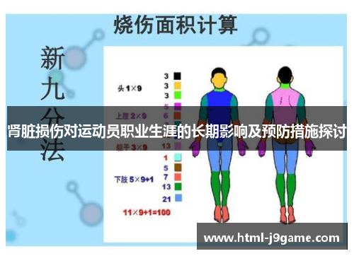 肾脏损伤对运动员职业生涯的长期影响及预防措施探讨