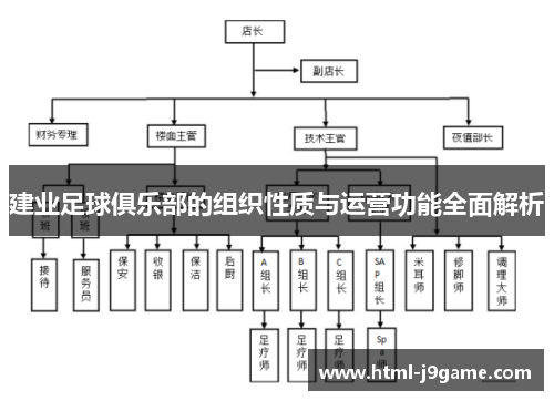 建业足球俱乐部的组织性质与运营功能全面解析 建业足球俱乐部的组织性质与运营功能全面解析