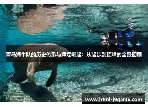 青岛海牛队的历史传承与辉煌崛起：从起步到顶峰的全景回顾