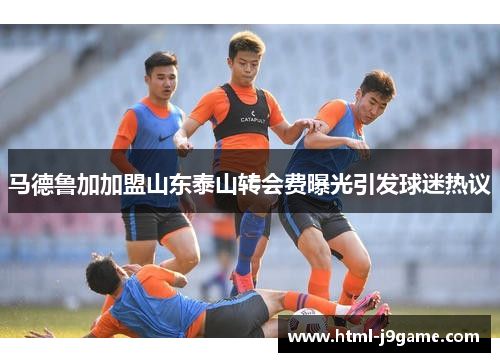 马德鲁加加盟山东泰山转会费曝光引发球迷热议