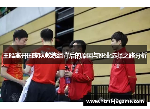 王皓离开国家队教练组背后的原因与职业选择之路分析